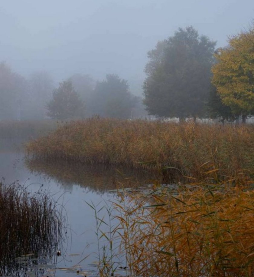  (öffnet Vergrößerung des Bildes)