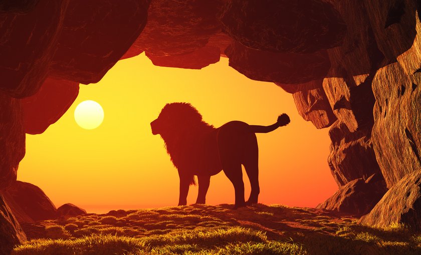lion (öffnet Vergrößerung des Bildes) (öffnet Vergrößerung des Bildes)